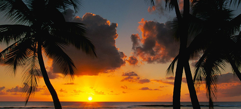 ip攻击器网页版ddos